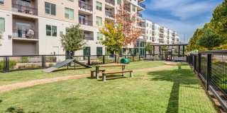 Esperanza Domain Gallery 13