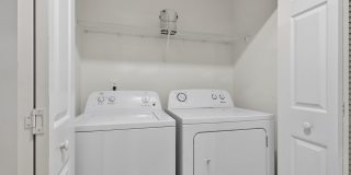 Pristine in PVB Gallery 21
