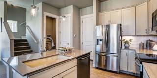 Mangold831 (KC-LN) Gallery 11