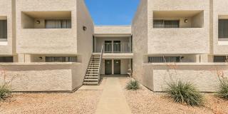 Cove on 44th Gallery 12