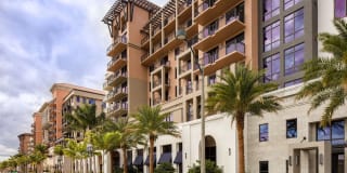 Palmetto Promenade Gallery 36