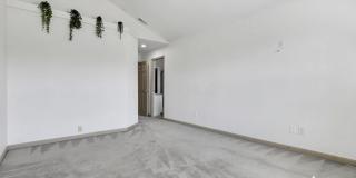 2573 Rustling Oak Boulevard Gallery 23