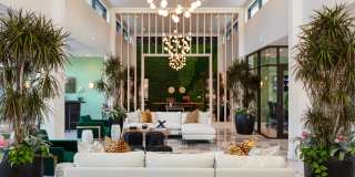 Esplanade District Apartments Gallery 2