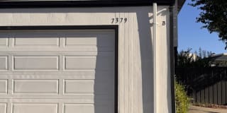 7379 Chapman Place Street Gallery 1