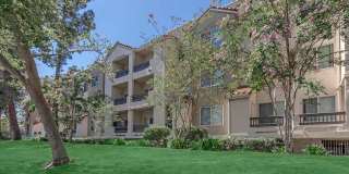 Paloma Vista Apartment Homes Gallery 22