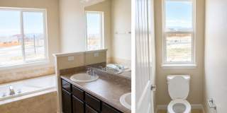 7413 Pimlico Dr Gallery 31