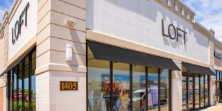 Monarch Gallery 49