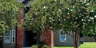 The Mandell Gallery 36