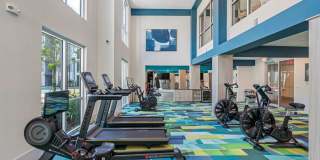 Cortland Satori Gallery 3