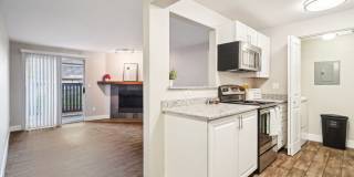 Campbell Run Gallery 4