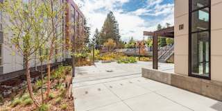 7000 Campus Apartments - Student Housing Gallery 5