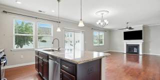 1009 Artis Town Lane Gallery 16