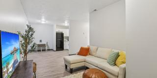 Beacon Hill Gallery 14