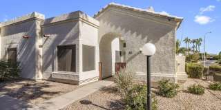 2100 W LEMON TREE Place Gallery 2
