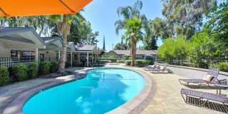 Pinewood Apartments Gallery 14