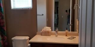 26824 W POTTER Drive Gallery 21