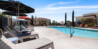 Sonoma Palms Gallery 22