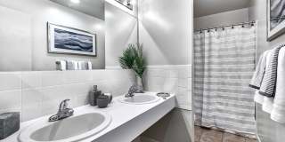 Wilkeswood Gallery 10