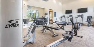 Bristol Place Gallery 16