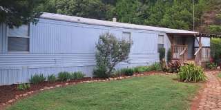 683 Loblolly Trail Gallery 1