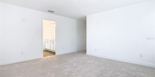11165 GREEN CITRON Alley Gallery 20