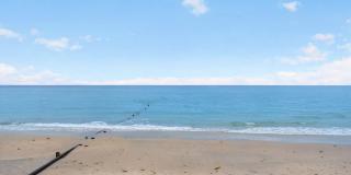 1200 S Ocean Boulevard Gallery 65