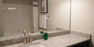 Estates at Vista Ridge Gallery 19