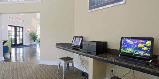 The Clara The Clara Gallery 15