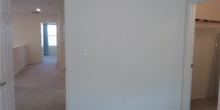 9092 Jade Vine Avenue Gallery 23