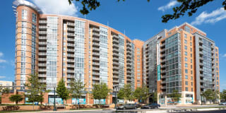 The Veridian Gallery 54