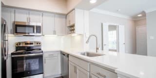 Las Palmas Gallery 13