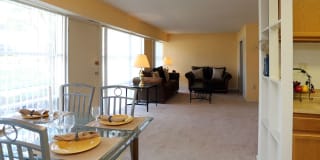 Belcrest Plaza Gallery 2