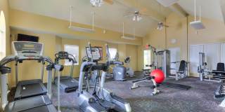 Palmetto Creek Gallery 14