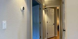 242 West Rosser Street Gallery 50