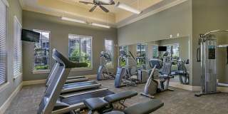 Brewster Commons at River Chase Gallery 19