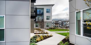The Main Apartments + Lofts Gallery 11