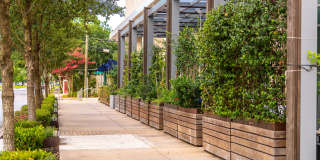 Avenue Grove Gallery 30