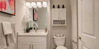 Halstead Burlington Gallery 19