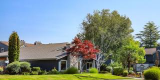 Rainier Pointe Gallery 30