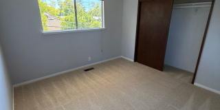 Welcome to 3630 Lupine Ave, a Beautiful Palo Alto Home Gallery 19