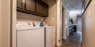 The Seasons Gallery 15