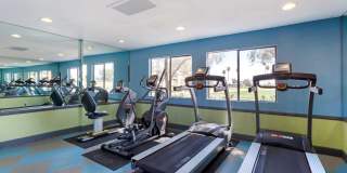 Vista Sureno Gallery 17