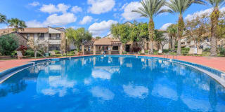 Millenium Cove Gallery 18