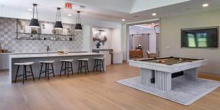 Palmhouse Gallery 21