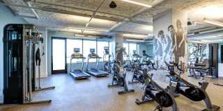 Ocean 650 Gallery 16