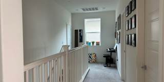 PET FRIENDLY Gallery 8