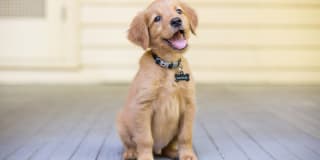 Rockwood Lodge Gallery 25