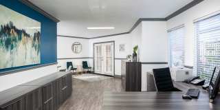 Tierra Palms Gallery 13