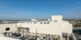 The DeMilo Gallery 3