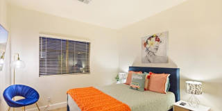 79454 Calle Palmeto Gallery 21
